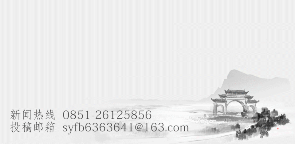 ZFddA, 黄河鸥 ZFddA, 黄河鸥