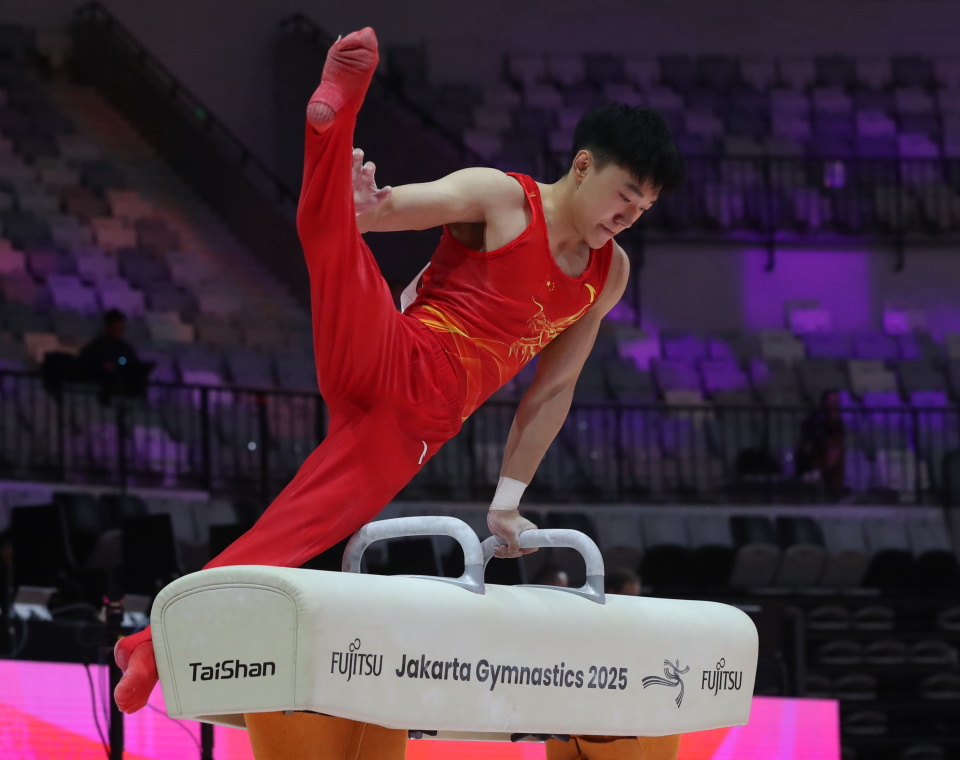 新华社记者, 新华社记者 新华社记者, 新华社记者